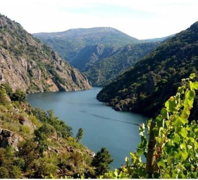 몬포르테데레모스 Piso Ribeira Sacra 아파트 외부 사진